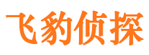 东湖寻人公司